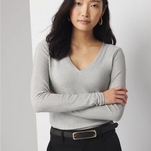 WHBM Sparkle Knit Top (L)!